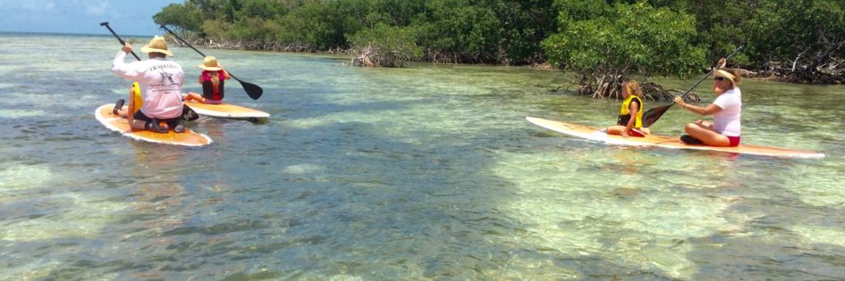 family paddleboarding with Keys Boat Tours