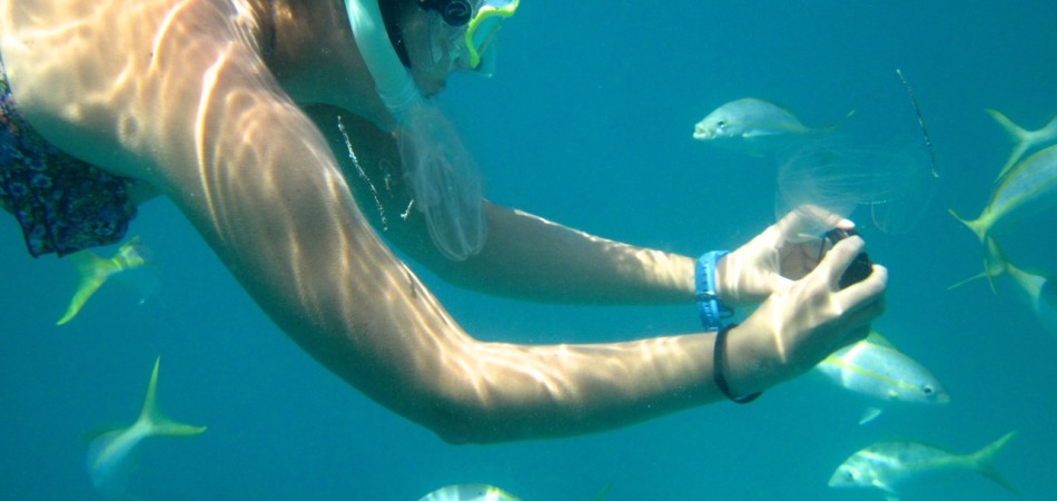 reef snorkel underwater photography
