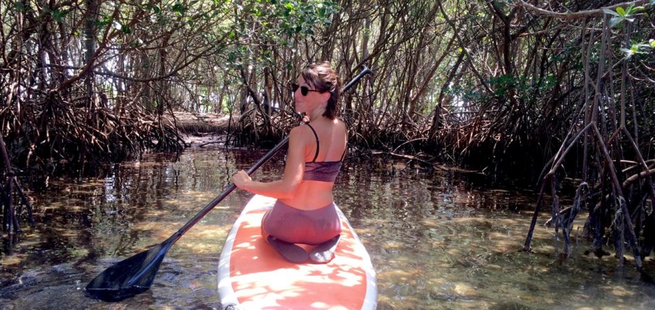 Girl kneeling on a paddlebard, paddling into the mangroves